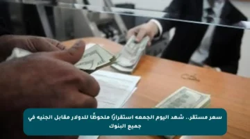 سعر مستقر.. شهد اليوم الجمعة استقرارًا ملحوظًا للدولار مقابل الجنيه في جميع البنوك